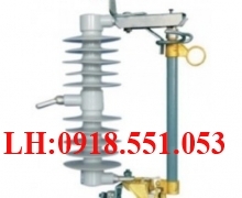 FCO 24KV Polymer