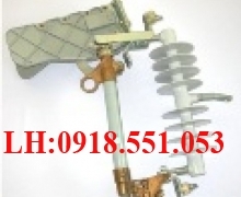 LBFCO 24KV Polymer