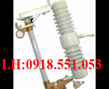 FCO 27kV Porcelain