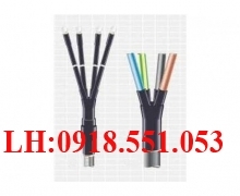 ĐẦU RA CÁP NGẦM HẠ THẾ 0.6KV